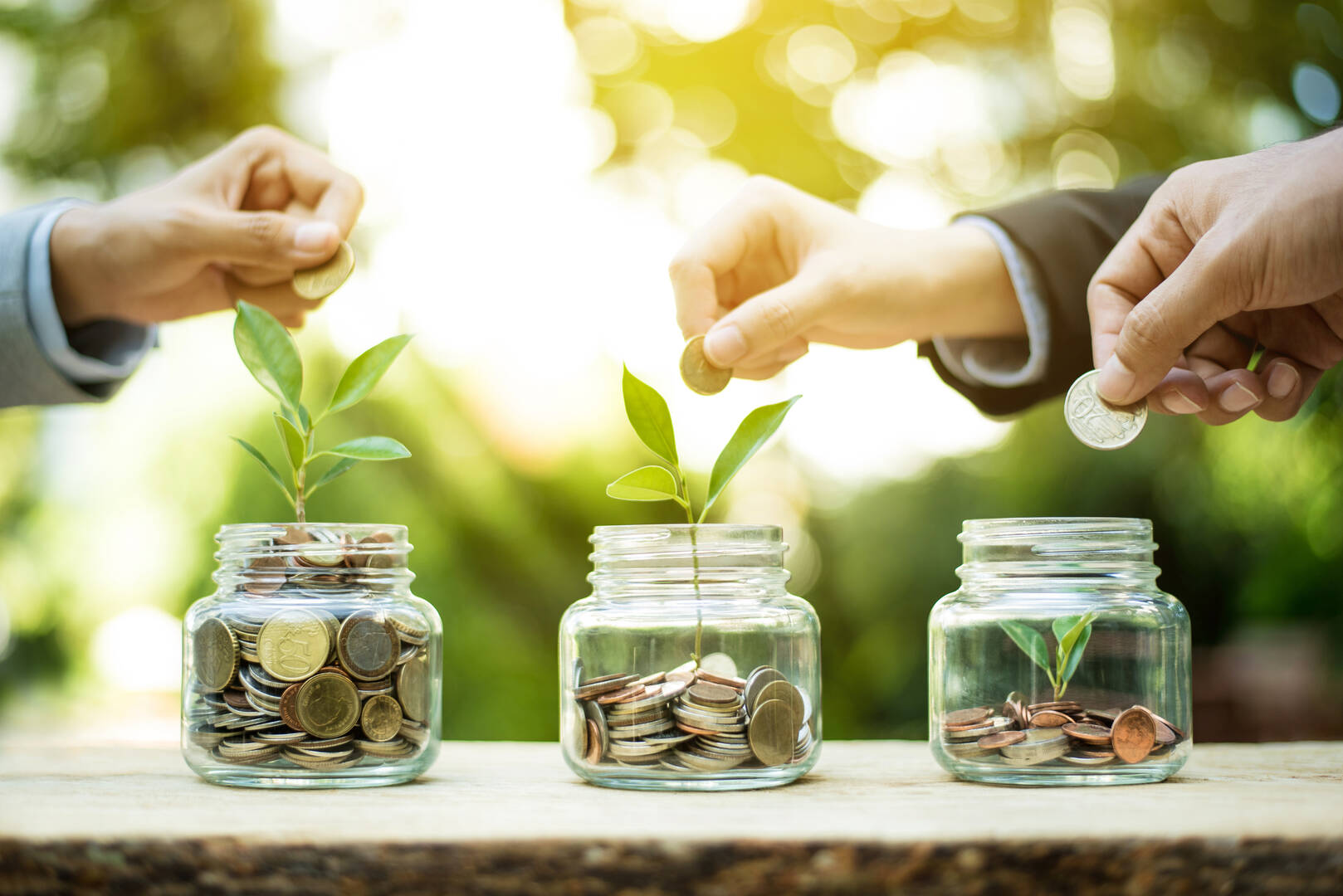 InSite CPAs, LLP
