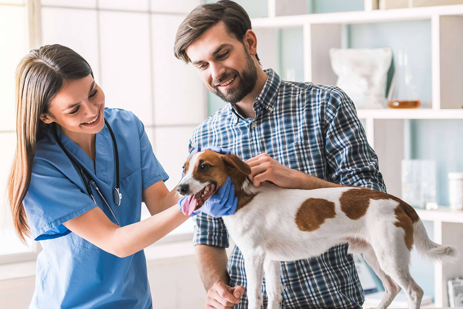 Murrells Inlet Veterinary Hospital