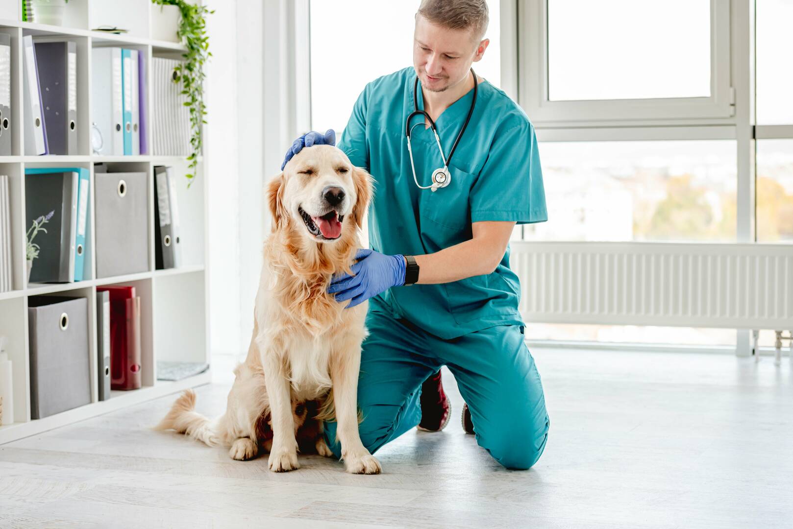 West Charleston Animal Hospital