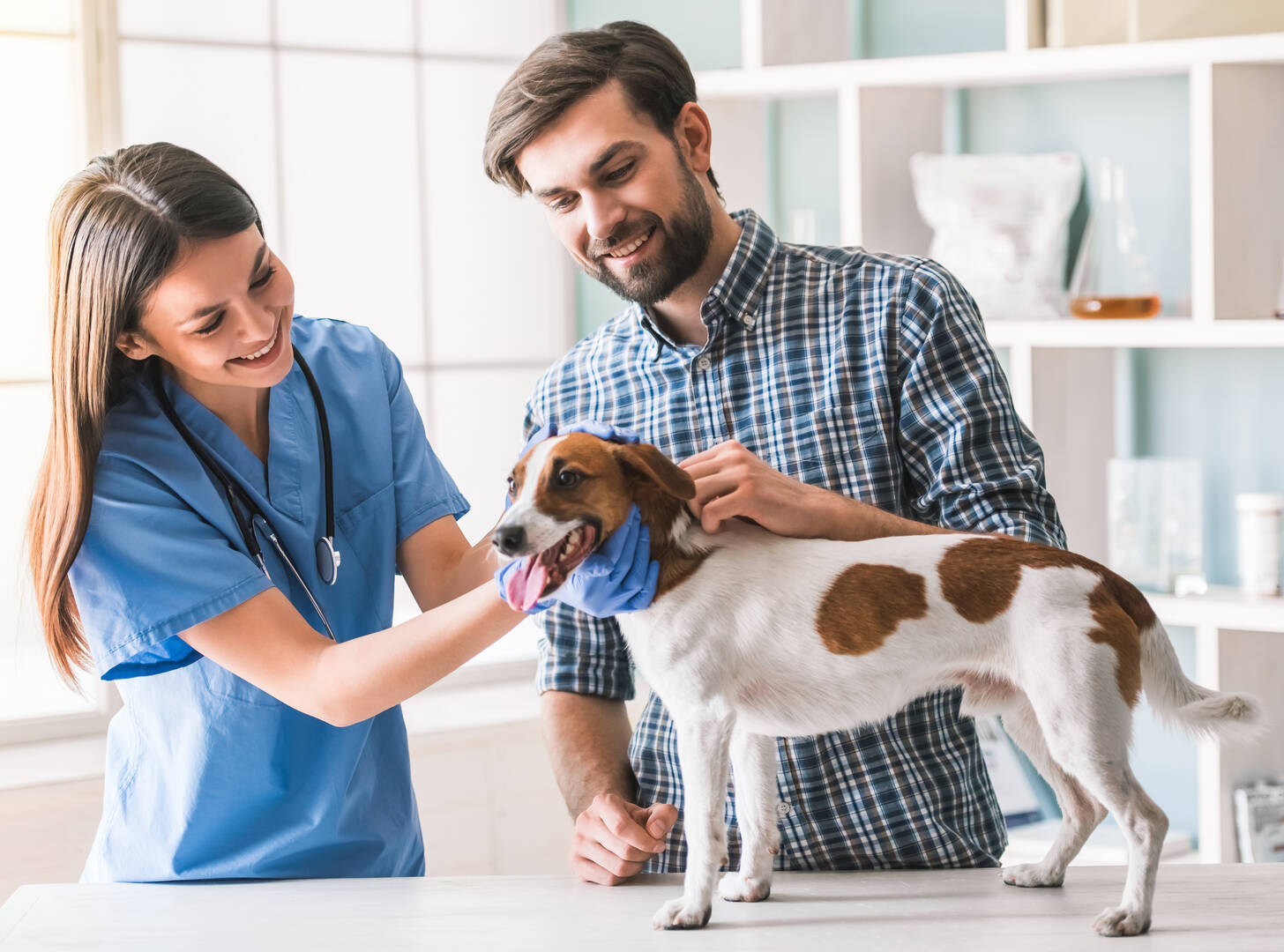 Great Southern Animal Hospital